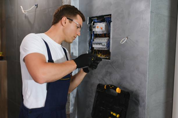 Best Electric Panel Repair  in Durant, IA